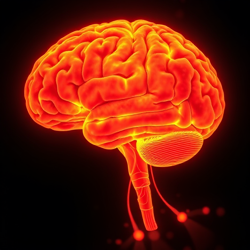 Atividade cerebral